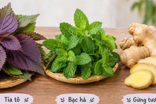 3 cây thuốc nam chữa cảm cúm, giảm đau nhức cơ thể