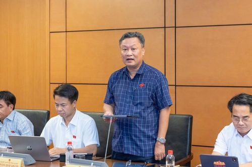 ĐBQH: Đánh giá tác động môi trường phải gắn với sức khỏe người dân
