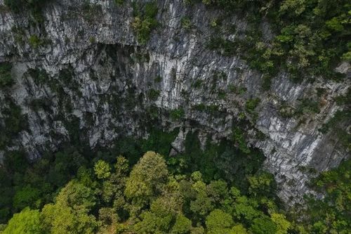 Phát hiện hố sụt khổng lồ tại Vườn quốc gia Phong Nha – Kẻ Bàng