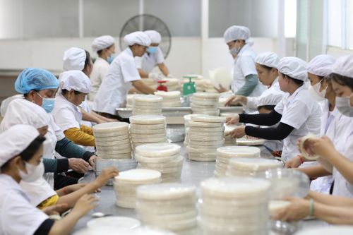 Lãi suất giảm, doanh nghiệp vẫn gặp khó khi vay vốn