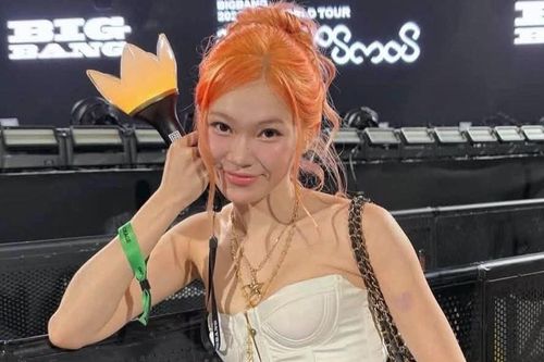 TikToker Ly Phạm xin lỗi vì bám rào tại concert BigBang