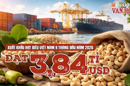 Trung Quốc mua gần 1 tỉ USD hạt điều Việt Nam, tăng 20,9%