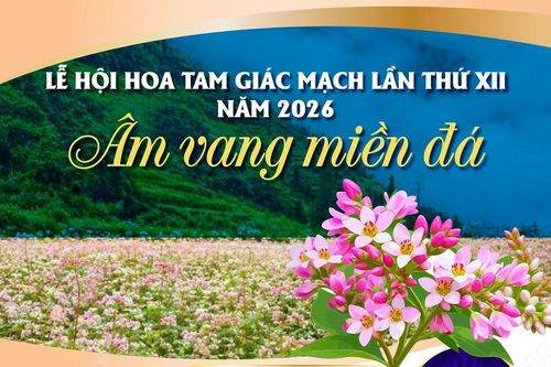 Lễ hội hoa tam giác mạch lần thứ XII năm 2026: 'Âm vang miền đá'
