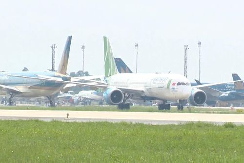 [Video] Cục Hàng không đề nghị 6 hãng khôi phục, mở mới đường bay nội địa