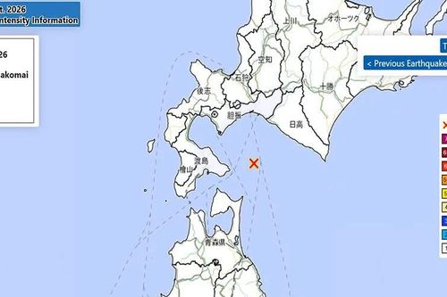 Động đất có độ lớn 7,0 làm rung chuyển quần đảo Ogasawara của Nhật Bản