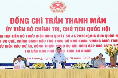 [Ảnh] Chủ tịch Quốc hội kiểm tra tiến độ các công trình dự án phục vụ Hội nghị cấp cao APEC