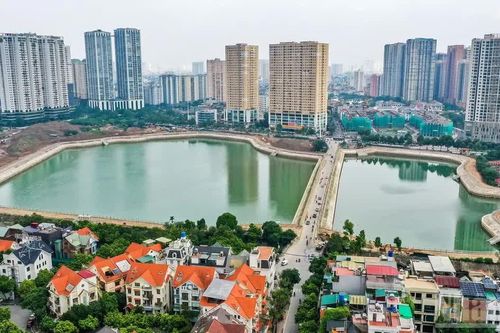 Hà Nội: Dịch chuyển cây xanh đường Trung Thư phục vụ thi công hồ điều hòa