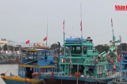 [Video] Lâm Đồng tập trung khắc phục tồn tại, quyết liệt chống khai thác IUU