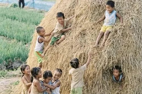 Vị của mùa Thu