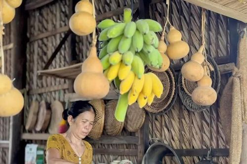 Quê nhà nải chuối, buồng cau