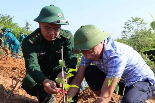 Gần 300 người tham gia trồng cây, phủ xanh rừng phòng hộ