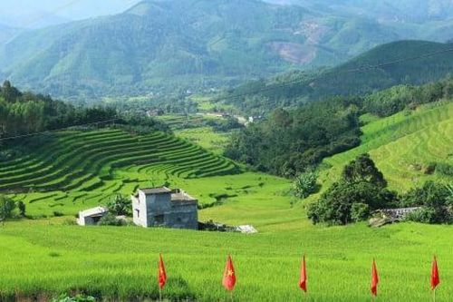 Hội Mùa vàng mở đầu chuỗi sự kiện du lịch miền biên cương Quảng Ninh