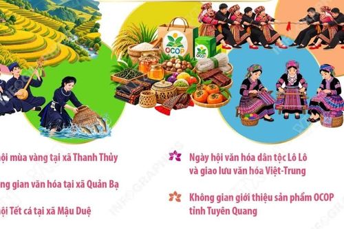 Lễ hội hoa tam giác mạch lần thứ 12 năm 2026: 'Âm vang miền đá'
