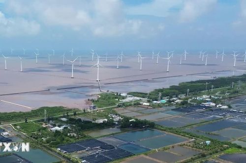 Điện gió ngoài khơi Việt Nam: Cơ hội hợp tác đầu tư với Na Uy
