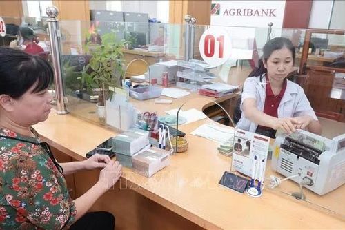 Cần cân bằng giữa giảm lãi suất và nâng hiệu quả sử dụng vốn