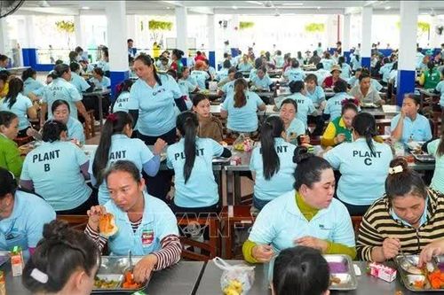Xây dựng quan hệ lao động hài hòa, bền vững