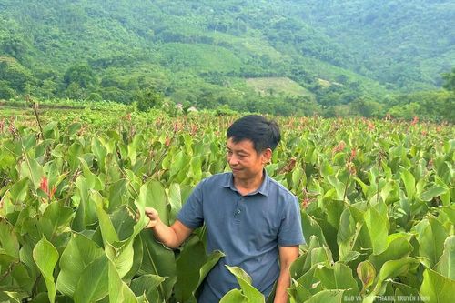 Gương nông dân dân tộc Mường làm kinh tế giỏi