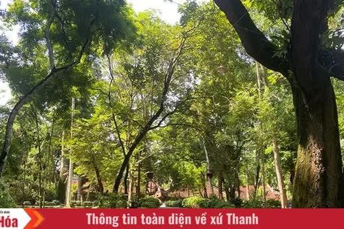 Quỳ Quốc công Lê Khang: Một đời phò tá cơ nghiệp nhà Lê