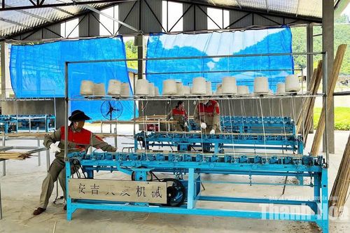 Đồng Lương phát triển kinh tế lâm nghiệp