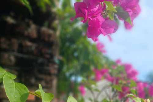 Bản ballad tình yêu