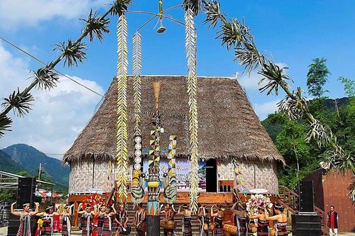Cây cỏ trong khoảng trời tâm linh