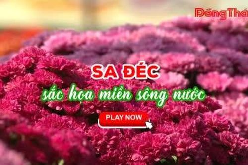 SA ĐÉC – SẮC HOA MIỀN SÔNG NƯỚC
