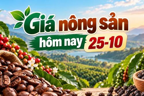 Giá nông sản hôm nay (25-10): Cà phê mất mốc 90.000 đồng/kg, hồ tiêu đi ngang