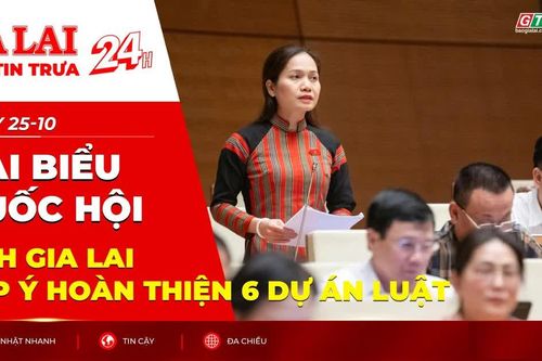Điểm tin trưa: Đại biểu Quốc hội tỉnh Gia Lai góp ý hoàn thiện 6 dự án luật