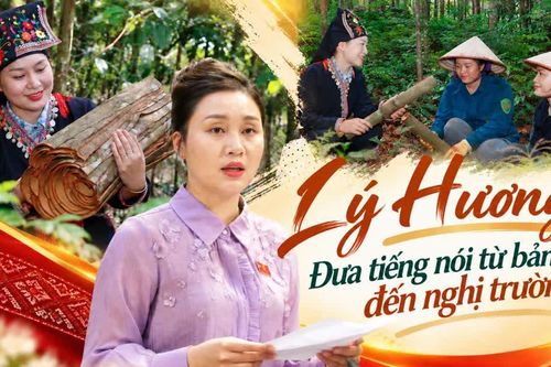 Đưa tiếng nói từ bản làng đến nghị trường