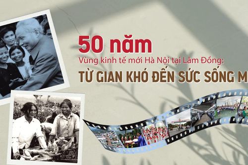 50 năm Vùng kinh tế mới Hà Nội tại Lâm Đồng: Từ gian khó đến sức sống mới