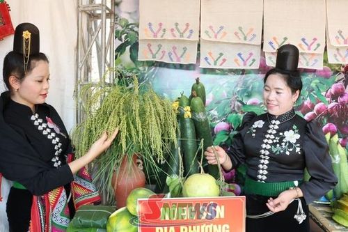 Trưng bày, giới thiệu các sản phẩm nông sản đặc trưng xã Chiềng Mai