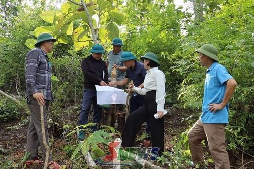 Tường Hạ đẩy nhanh tiến độ bố trí dân cư vùng thiên tai