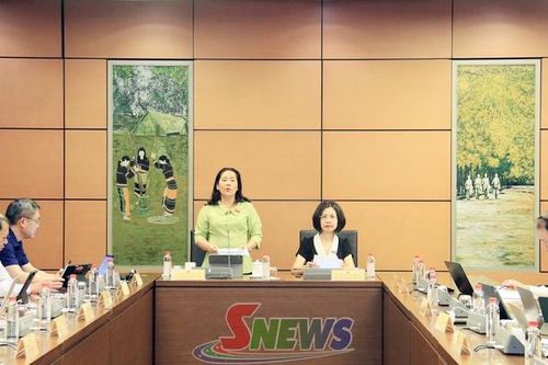 Hoàn thiện chính sách đối với đồng bào dân tộc thiểu số và các vùng khó khăn tại dự thảo Luật Luật Phát triển công nghiệp văn hóa và dự thảo Luật An toàn thực phẩm (sửa đổi)
