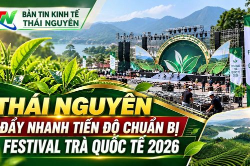 Thái Nguyên đẩy nhanh tiến độ chuẩn bị Festival Trà Quốc tế 2026