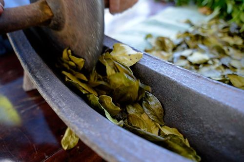 Đưa chè Tuần vào tour du lịch