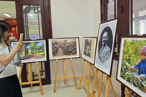 Cà phê Khe Sanh kể câu chuyện hoà bình