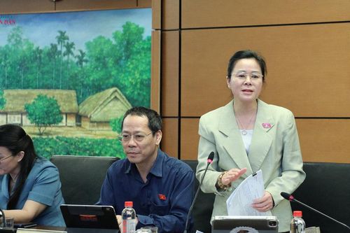 Cần thiết lập lại Chi cục An toàn thực phẩm cấp tỉnh