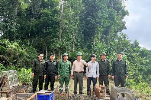 Thả 22 cá thể động vật hoang dã quý hiếm về môi trường tự nhiên