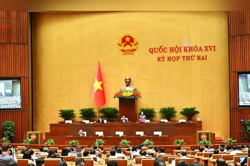 Dự án Luật Xử lý vi phạm hành chính (sửa đổi): Đề xuất giao cấp xã quyết định đưa người nghiện ma túy đi cai nghiện bắt buộc