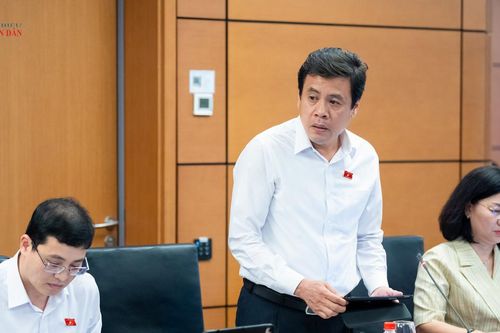 Kiểm soát xung đột lợi ích trong giám định sở hữu trí tuệ