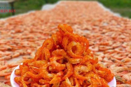 Festival Tôm Cà Mau lần thứ II năm 2026: Kết nối chuỗi giá trị, nâng tầm thương hiệu tôm Việt