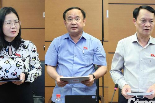 Đại biểu Quốc hội góp ý hoàn thiện dự án Luật Sở hữu trí tuệ