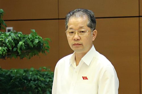Đại biểu Quốc hội đề nghị siết hậu kiểm, quản lý kinh doanh thực phẩm trên không gian mạng