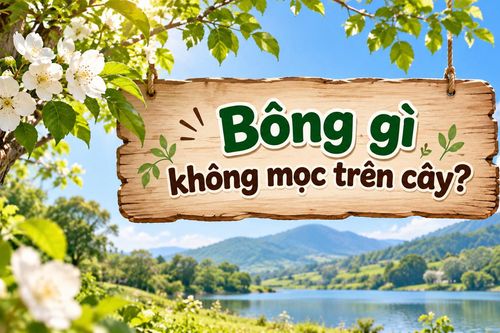 Câu đố tiếng Việt: Bông gì không mọc trên cây?