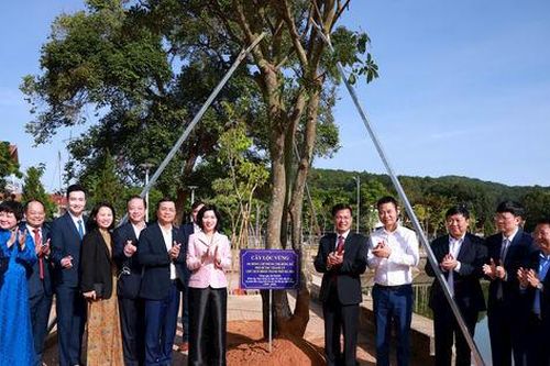 Nghĩa tình thủy chung, son sắt Hà Nội - Lâm Đồng