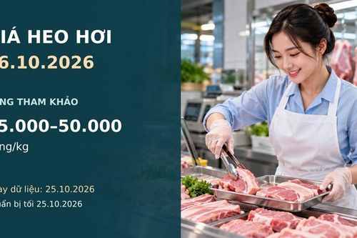 Giá heo hơi hôm nay 26.10.2026: Chờ sức mua sau tuần giảm sâu