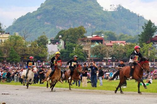 Bắc Hà hẹn du khách với sắc màu Festival mùa đông 2026