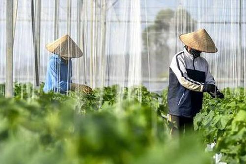 Ban hành Chuẩn chương trình đào tạo lĩnh vực Sản xuất và chế biến