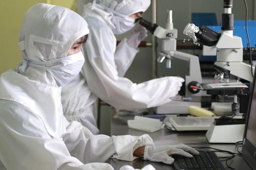 Đề xuất danh mục ngành, nghề đào tạo nặng nhọc, độc hại, nguy hiểm