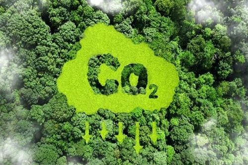 Phân cấp thẩm quyền cấp tài khoản Hệ thống đăng ký quốc gia về hạn ngạch phát thải khí nhà kính và tín chỉ cacbon